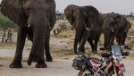 Foto: Nenek Ini Taklukkan 7 Benua Pakai Motor Trail