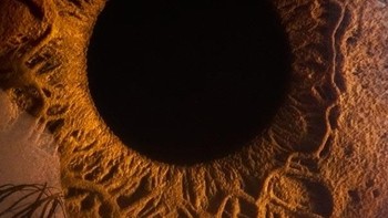 Salah satu karya yang membuat mata takjub adalah proyek fotografinya yang dinamai Your Beautiful Eyes. (Foto: Suren Manvelyan)