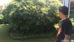 Foto: Kolam & Makam Penuh Berkah di Ciamis