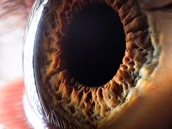 Mata Manusia dari Jarak Super Dekat, Keren atau Seram?