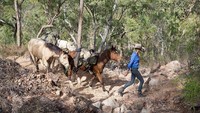 Dia melewati 18 Taman Nasional, 50 hutan, dan 3 negara bagian dan melihat beragam landmark cantik di Australia. Jarak tempuh yang dilewatinya adalah 5330 Km. (Wild at Heart Australia/Facebook)