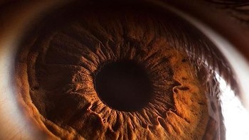 Suren juga memiliki proyek-proyek foto keren lainnya seperti Animal Eyes, Nightscape, Astronomy dan masih banyak lagi. (Foto: Suren Manvelyan)