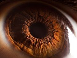 Mata Manusia dari Jarak Super Dekat, Keren atau Seram?