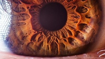 Ia pun sudah banyak memotret khususnya untuk foto makro, proyek foto kreatif, landscape, dan masihbanyak lagi. (Foto: Suren Manvelyan)