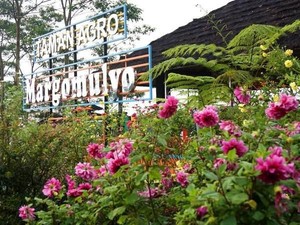 15 Tempat Wisata di Kediri yang Wajib Dikunjungi Saat Mudik