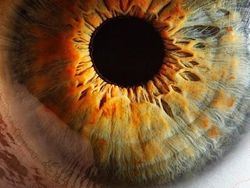 Mata Manusia dari Jarak Super Dekat, Keren atau Seram?