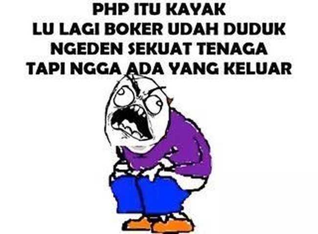 PHP itu seperti buang air besar. Foto: Istimewa