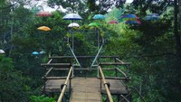 Camp 91 di Kemiling, Bandar Lampung menawarkan wisata petualangan, juga aneka spot buat foto-foto (yukz88/Instagram)