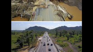 Before-After Puerto Rico 6 Bulan Usai Diterjang Badai