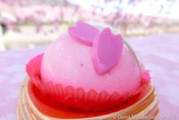 Serba Pink! Aneka Camilan di Jepang Ini Terinspirasi Bunga Sakura