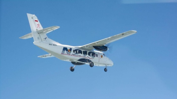 Pesawat N219