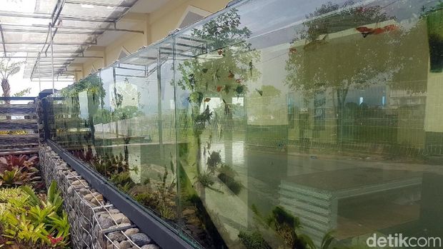 Kehadiran aquarium makin mempercantik eksterior masjid (Syahdan/detikTravel)