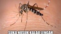 Meleng sedikit tau-tau hap di badan. (Foto: Internet)