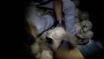 Ini Tampang Pengedar 30 Kg Sabu Saat Ditangkap