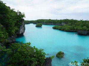 Begini Awal Mula Pulau Bair Viral di Media Sosial