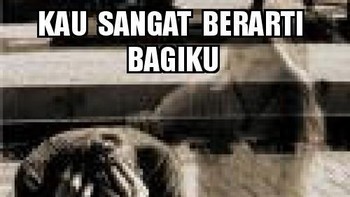 Kini kau sudah menjadi bayangan. (Foto: Internet)