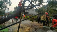 Pohon Tumbang Tutup Jalan Nasional Ciamis-Banjar