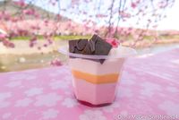 Serba Pink! Aneka Camilan di Jepang Ini Terinspirasi Bunga Sakura