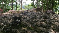 Foto: Diduga empat batu patapaan ini merupakan tanda atau makam tempat menyimpan abu jenazah dari orang yang kedudukannya lebih tinggi atau memiliki jabaran pada zaman itu. (Dadang Hermansyah/detikTravel)
