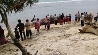 Banyak warga yang berdatangan ke lokasi untuk melihat keberadaan paus sperma yang mati terdampar ini.
