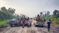 Tim pemburu Bonita menyebut bagaimana seekor harimau amat berbeda dengan cerita kebuasan harimau pemangsa yang biasanya tidak mengenal belas kasihan terhadap mangsanya. (Foto: ist.)