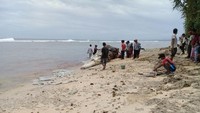 Pihak BKSDA Bengkulu sudah datang ke lokasi melakukan pemantauan siang tadi. Kepala Seksi Konservasi Wilayah II Seluma BKSDA Bengkulu, Darwis Saragih, mengatakan kondisi paus sperma ini sudah membusuk. 