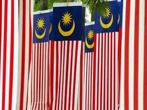 Bunuh Kucing Bunting, Sopir Taksi di Malaysia Dibui 2 Tahun