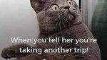 Bikin Ngakak! Aneka Meme Traveling Kocak