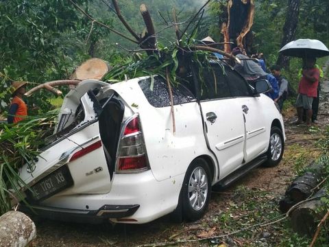 Pohon tumbang di saat hujan disertai angin kencang