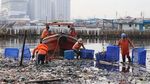 Potret Kerja Keras Petugas Bersihkan Lautan Sampah di Teluk Jakarta
