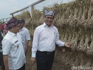 Kementan Siapkan Rp 1 Triliun Sebar 1.000 Alat Pengering Padi