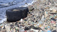 Tidak hanya sampah plastik, ban bekas juga mengotori pantai yang terletak Jakarta Utara tersebut.