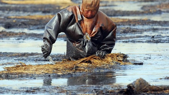 Fishermen row a boat in the algae-filled Chaohu Lake in Hefei, Anhui province, June 19, 2009. The country has invested 51 billion yuan ($7.4 billion) towards the construction of 2,712 projects for the treatment of eight rivers and lakes including Huaihe River, Haihe River, Liaohe River, Chaohu Lake, Dianchi Lake, Songhua River, the Three Gorges region of the Yangtze River and its upstream area, Xinhua News Agency reported. REUTERS/Jianan Yu (CHINA ENVIRONMENT SOCIETY BUSINESS IMAGES OF THE DAY) FOR BEST QUALITY IMAGE ALSO SEE: GM1E57T19EY01 - RTR24T8T