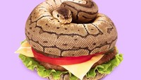 Ada yang berani makan burger ini? Ternyata begini kalau ular dipadu dengan isian burger. Kreasi ini dibuat untuk merayakan followers Instagramnya yang sudah mencapai 50 ribu kala itu. Foto: Instagram @paulfuentes_design