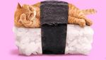 Wouw! Sushi Cat hingga Sandal Salmon, Food Art yang Kreatif dan Keren Banget!