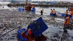 Potret Kerja Keras Petugas Bersihkan Lautan Sampah di Teluk Jakarta