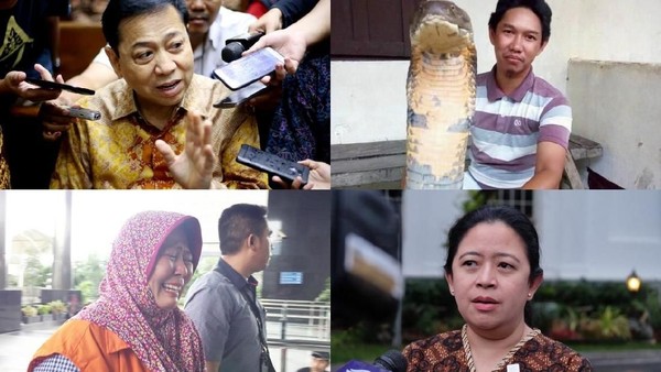 Berita Heboh: King Cobra Raksasa Hingga Kesaksian Novanto di e-KTP