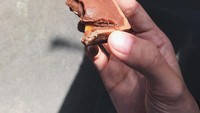 Berlibur ke Bali, istri Ditto ini jatuh cinta dengan salt caramel tart Monsieur Spoon. Ini luar biasa, jajanan yang harus dilindungi, kata wanita berhijab ini. Foto: Instagram ayudiac