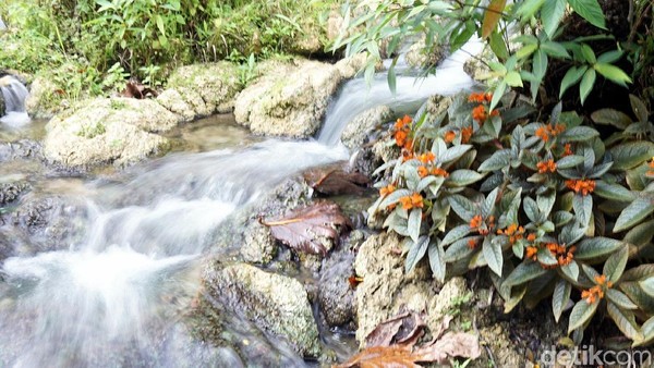 Foto: Air Terjun Evu punya banyak cabang kecil-kecil seperti ini. Tinggal cari angle yang menarik, kamu bisa berburu foto asyik di sini! (Wahyu/detikTravel)