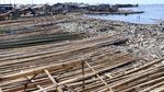 Saking Banyaknya, Sampah di Pesisir Cilincing Tutupi Pantai