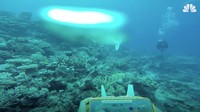 Dalam uji coba di perairan Fiji, SoFi bisa berenang hingga kedalaman 50 kaki.  (Foto: Dok. nbcnews)