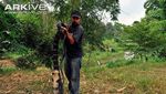 Foto: Penemuan Ular King Cobra Raksasa dari Penjuru Dunia