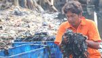 Potret Kerja Keras Petugas Bersihkan Lautan Sampah di Teluk Jakarta