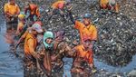 Potret Kerja Keras Petugas Bersihkan Lautan Sampah di Teluk Jakarta