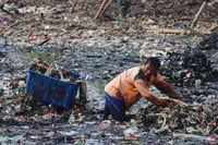 Pembersihan lautan sampah di Teluk Jakarta, Muara Angke
