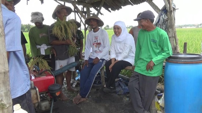 Dicurhati Petani Jombang, Khofifah Langsung Telepon Mentan