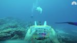 Foto: Melihat Ikan Robot Meliuk-liuk di Perairan Fiji