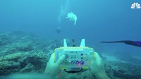 Robot ikan tersebut berenang layaknya ikan.   (Foto: Dok. nbcnews)