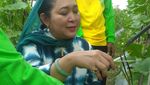 Ini 10 Foto Titiek Soeharto Saat Makan Bersama Keluarga hingga Panen Sayur