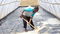 Sepuluh tahun lalu atau 20 tahun lalu harga garam Rp 3.500 per kilogram. Tapi kalau harga sekarang Rp 7.000 hingga Rp 8.000 jadi kita senang, kata Azhar 